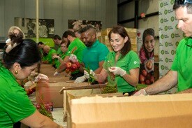 Publix associates sort produce donated to Dare to Care Food Bank in Louisville, Kentucky following the groundbreaking ceremony.