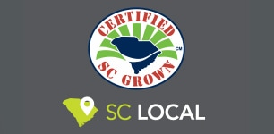 South Carolina Local state icon