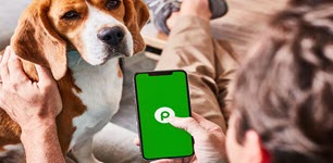 Customer on Publix app and petting a dog