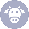 icon of cow